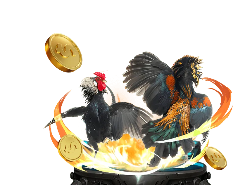 Truy cập nhanh chóng